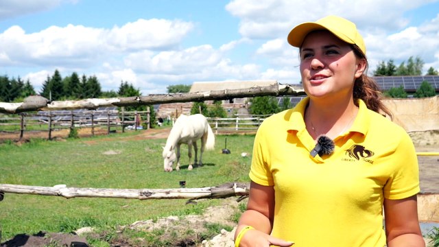 Nasze Miasto Cyców - Konie uratowane z Charkowa