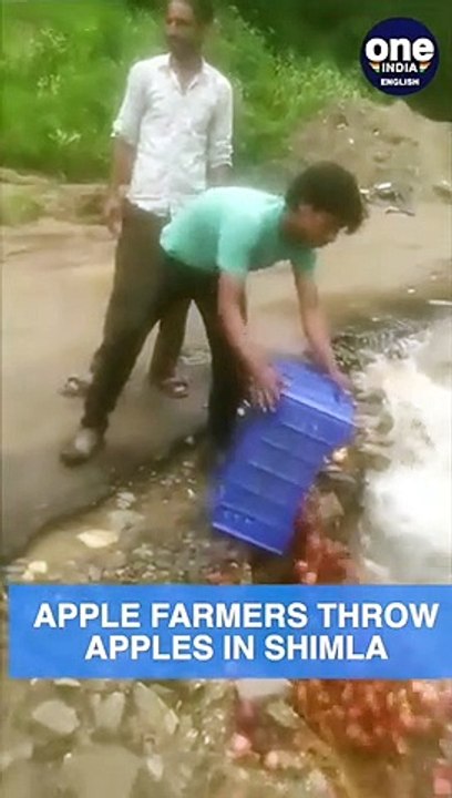 Viral_ Angry apple farmers throw away apples in Shima, blame government _ Oneindia News #shorts