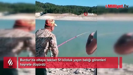 Sazan beklerken oltaya 2 metrelik yayın balığı takıldı