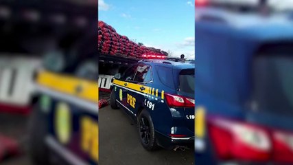 PRF prende homem transportando 4500 litros de Vinho de origem estrangeira em Irati