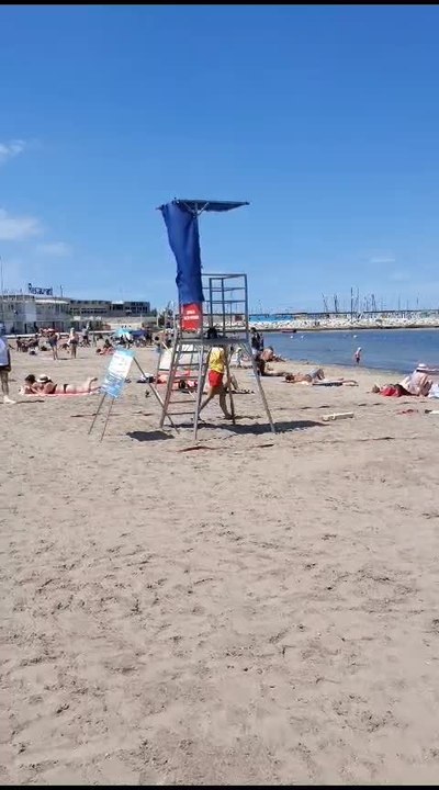 "La raie n’est a priori plus vers la plage" : drapeau vert depuis 13h à la Pointe-Rouge ce dimanche