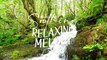 Beautiful Serenity Music - Calming Instrumental Sounds ｜ Stress Relief ｜ Tranquil Melodies