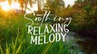 Relaxing Zen Music - Gentle Instrumental Harmony ｜ Stress-Free Living ｜ Calming Melodies