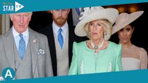 Meghan et Harry en conflit avec la famille royale : ils repoussent un geste de Charles III