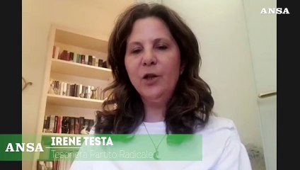 Maternita' surrogata. Testa (Partito Radicale): "Decideranno i cittadini con il referendum"