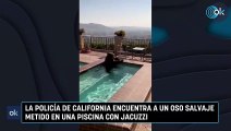 La Policía de California encuentra a un oso salvaje metido en una piscina con jacuzzi