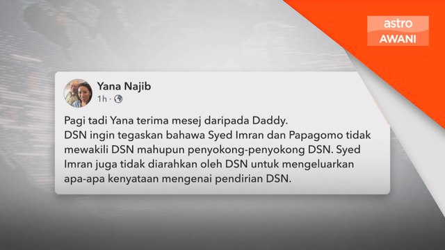 Syed Imran, Papagomo bukan wakil Najib Razak - Yana Najib