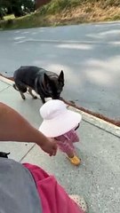 Snacktime sur le trottoir