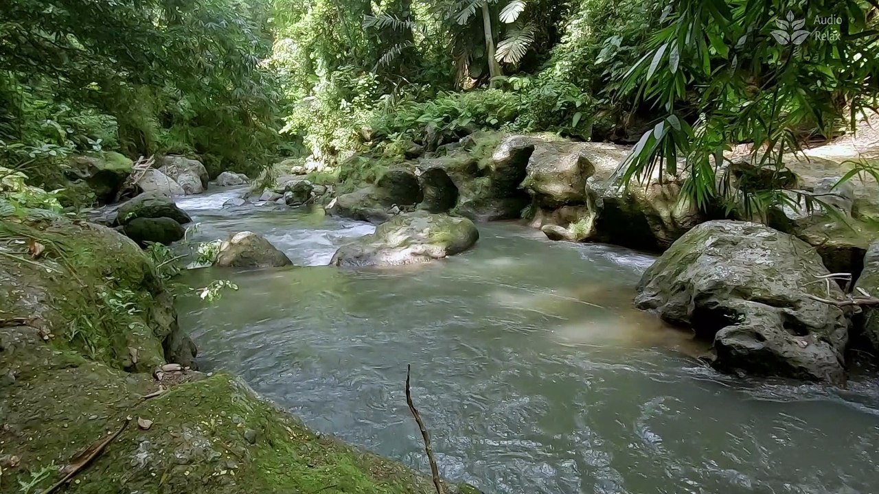 1 Hour of Calming Forest Water Stream  Relaxing Nature Sounds for Sleep & Meditation 