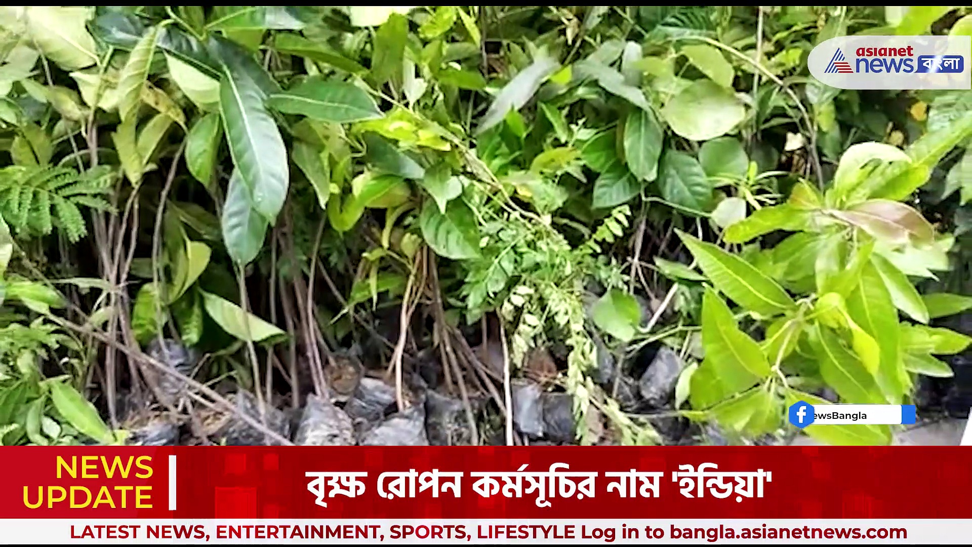 মোদী সরকারকে কটাক্ষ করে 'INDIA' বৃক্ষ রোপণ কর্মসূচি তৃণমূলের, উপস্থিত ছিলেন রাজ চক্রবর্তী