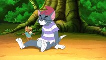 Tom And Jerry: Shiver Me Whiskers movie in hindi