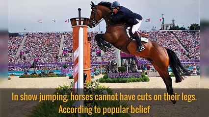 20 Weirdest Rules in Sports