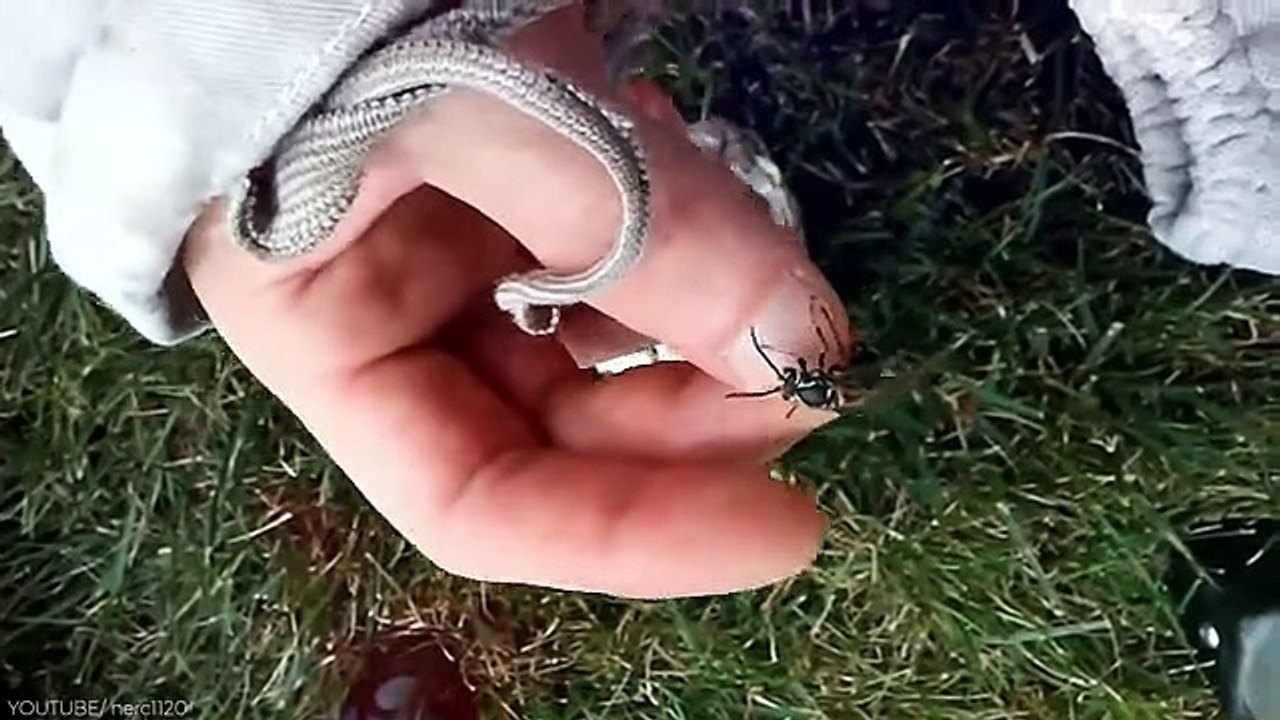 20 Of The World’s Most Painful Stings