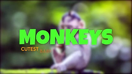 20 Cutest Baby Animals That Will Make You Go Aww