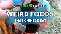 10 Weird Foods That Chinese People Eat