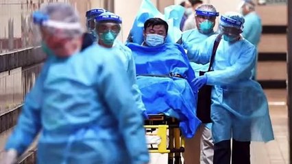 10 Viruses That Took Most Human Lives Ever