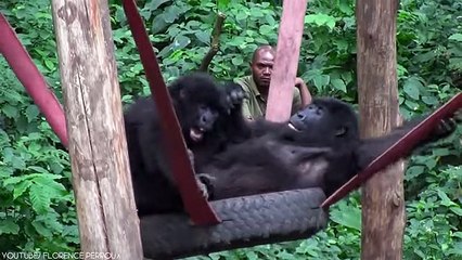 10 Times Animals Messed With The Wrong Opponent