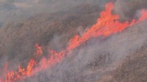 التاسعة هذا المساء | نيران الحرائق دمرت أكثر من 50 ألف هكتار من الغابات في اليونان