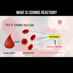 What is Coombs reaction?