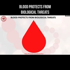 Blood protects from biological threats