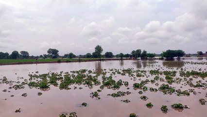 पीबीएन चैनल में आया कटाव, करणीजी वितरिका में पानी ओवरफ्लो