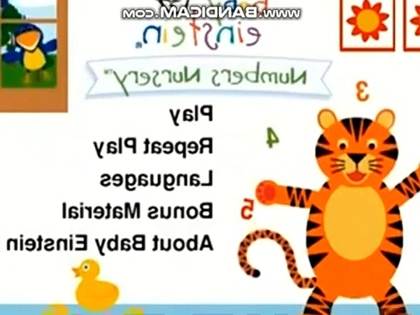 baby einstein menu