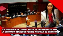 ¡VEAN! ¡la dipupack de Alito Ellen es despedazada por la diputada Márquez por no aceptar su derrota!