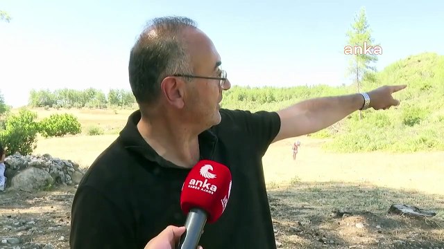 L'artiste Sunay Akın a soutenu ceux qui luttaient contre l'abattage des arbres dans la forêt d'Akbelen