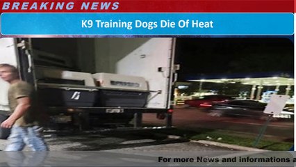 K9 Training Dogs Die Of Heat