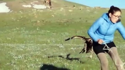 You Won't Believe What These Furious Birds Of Prey Can Do