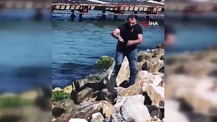 Yalova'da balıkçı oltasına martı takıldı