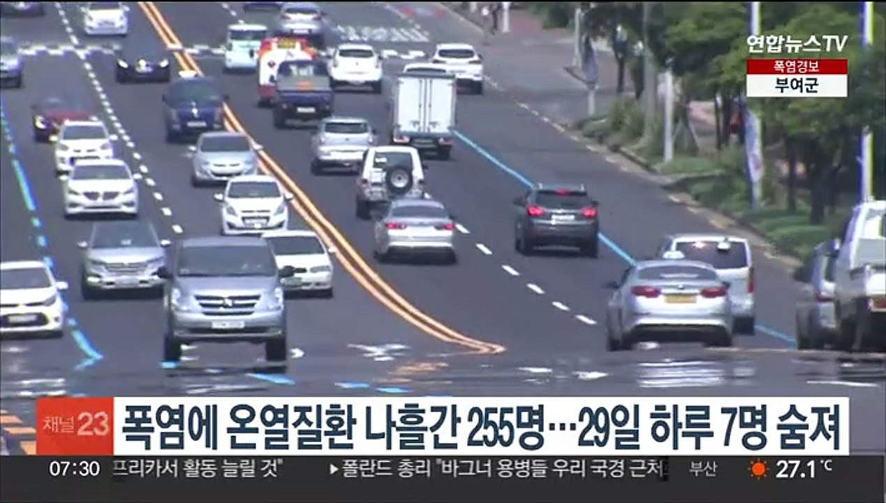 폭염에 온열질환 나흘간 255명…29일 하루 7명 숨져