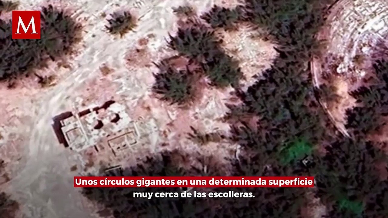 Descubren círculos gigantes en playa Miramar; ¿Los hicieron extraterrestres?