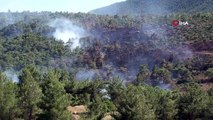Urla'da orman yangını İzmir'de araçtaki alevlerin ormana sıçraması ile çıkan yangına müdahale sürüyor