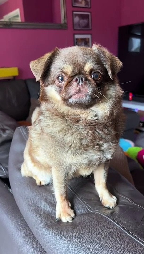 ⁣Can I have your spiders ?