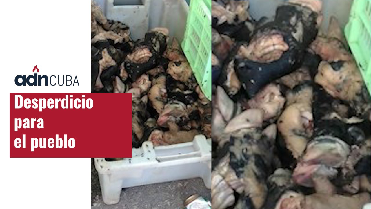 Desperdicios para el pueblo