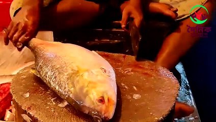বড় ইলিশ মাছ | Fish Cutting