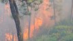 Cháy lớn tại rừng thông hơn 40 năm tuổi ở Huế