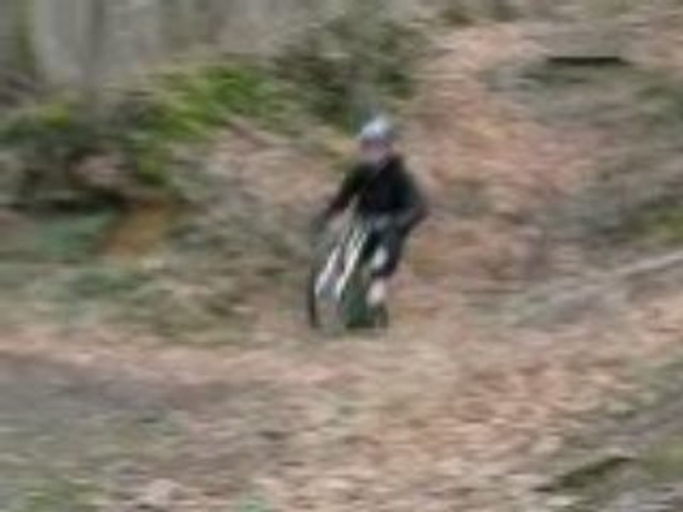 DH Spy 03
