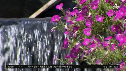 [날씨]전국 대부분 폭염경보, 서울 34°C…곳곳 강한 소나기
