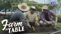 Radson Flores and Matt Lozano learn farming techniques at Urban Farmers PH | Farm To Table