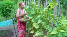 Fresh yard long bean in my garden and cook food recipe - Polin lifestyle
