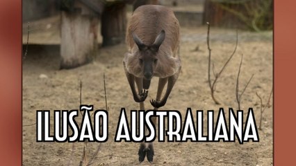 Ilusão Australiana - Vídeo Resposta ao Juninho Santos - EMVB - Emerson Martins Video Blog 2017