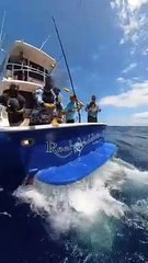 Fish hunting fisher man