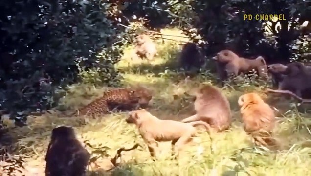 Incredible! Baboons Brutally Murdered Journalist's Mother And Daughter To Avenge Her Children