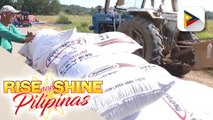 Panukalang rice production zones, nais isulong para matugunan ang kakulangan ng supply sa bigas...