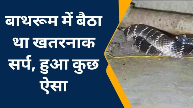 इटावा: बाथरूम में घुसा बैठा था जहरीला सर्प करैत, सर्पमित्र ने किया सुरक्षित रेस्क्यू