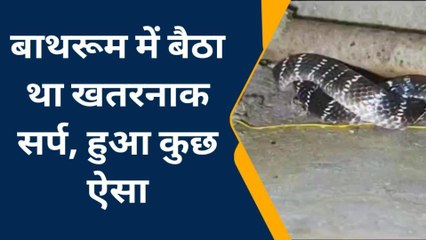 इटावा: बाथरूम में घुसा बैठा था जहरीला सर्प करैत, सर्पमित्र ने किया सुरक्षित रेस्क्यू