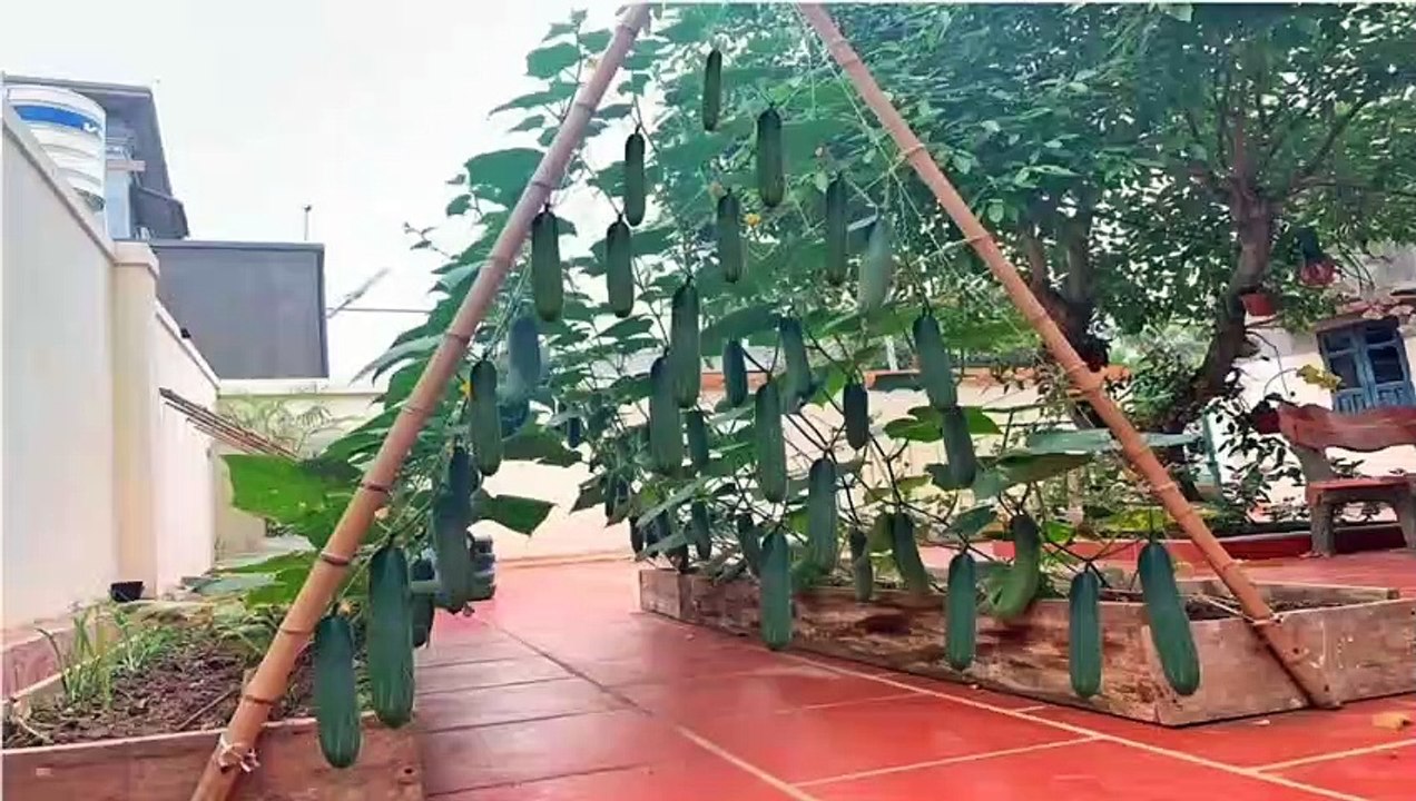 perfect mini garden