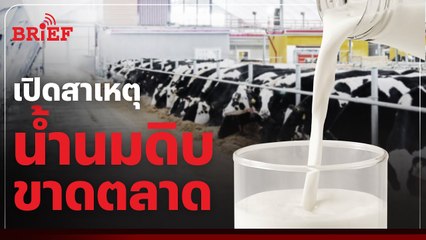 เกษตรกรเปิดสาเหตุน้ำนมดิบขาดตลาด | #beartaiBRIEF